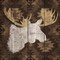 Precious Antlers IV Poster Print by Wellington Studio - Item # VARPDX22132